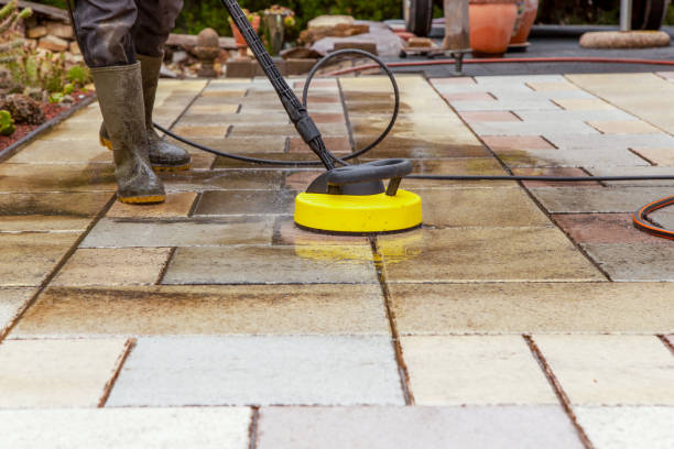 Animal Enclosure Cleaning in Rosharon, TX